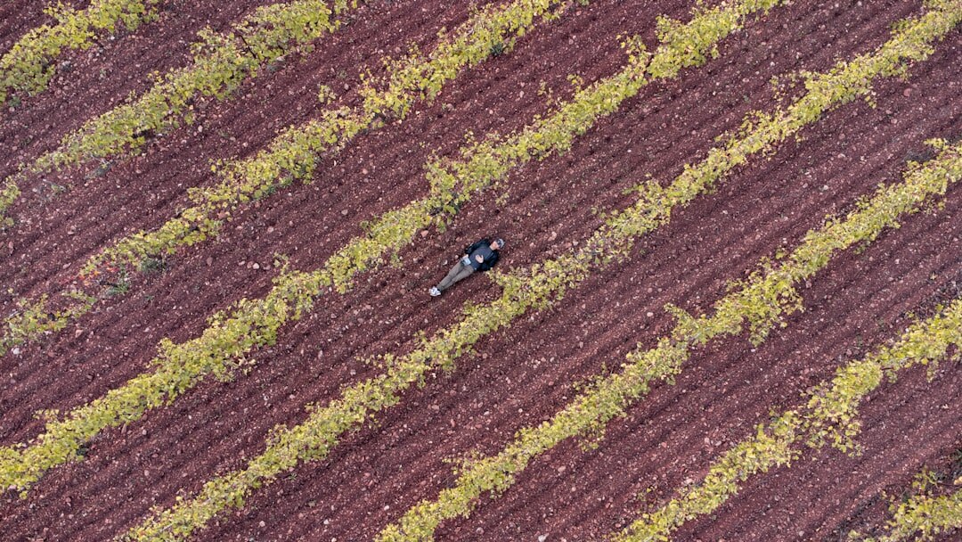 farmer using drone in field